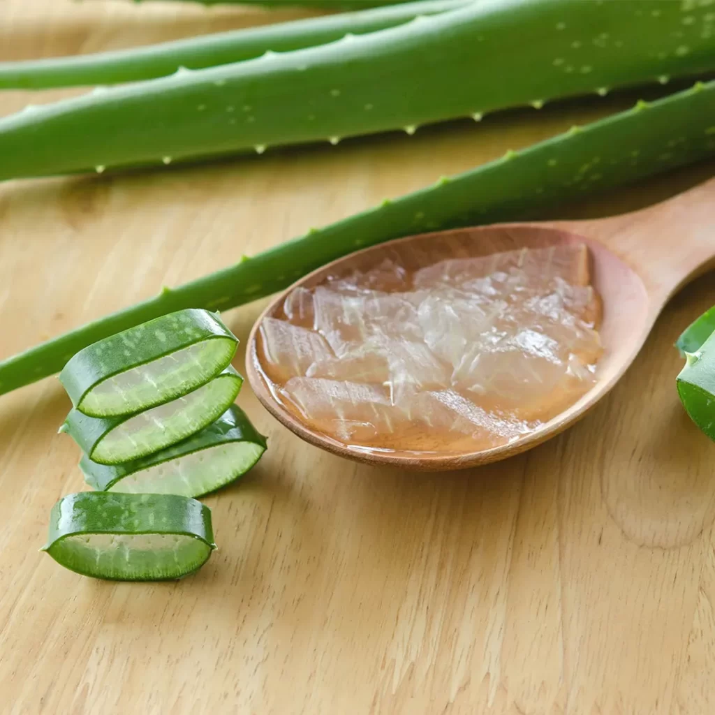 Aloe Vera as Anti frizz treatment