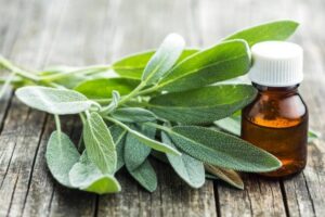 Sage Herb to colour your hair without chemical